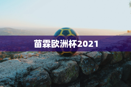 苗霖欧洲杯2021