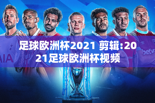 足球欧洲杯2021 剪辑:2021足球欧洲杯视频