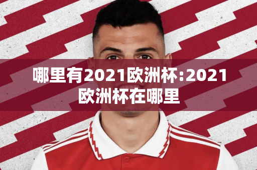 哪里有2021欧洲杯:2021欧洲杯在哪里