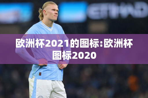 欧洲杯2021的图标:欧洲杯图标2020