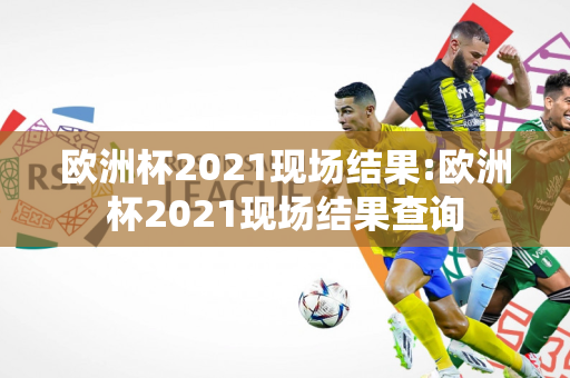 欧洲杯2021现场结果:欧洲杯2021现场结果查询