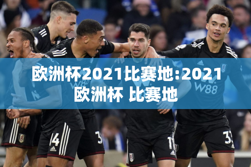 欧洲杯2021比赛地:2021欧洲杯 比赛地