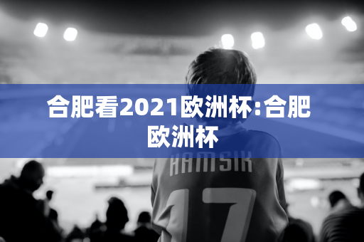 合肥看2021欧洲杯:合肥 欧洲杯