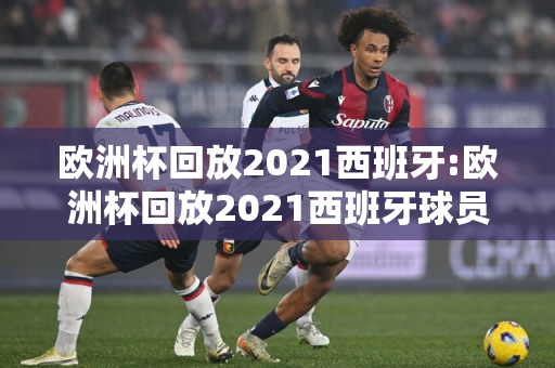 欧洲杯回放2021西班牙:欧洲杯回放2021西班牙球员