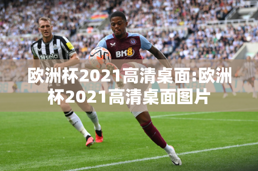 欧洲杯2021高清桌面:欧洲杯2021高清桌面图片