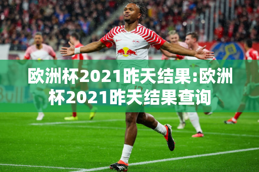 欧洲杯2021昨天结果:欧洲杯2021昨天结果查询