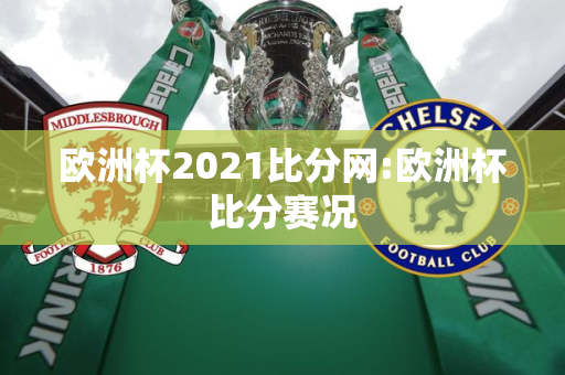 欧洲杯2021比分网:欧洲杯比分赛况