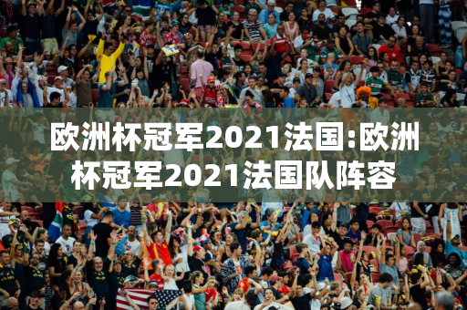 欧洲杯冠军2021法国:欧洲杯冠军2021法国队阵容