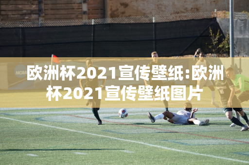 欧洲杯2021宣传壁纸:欧洲杯2021宣传壁纸图片