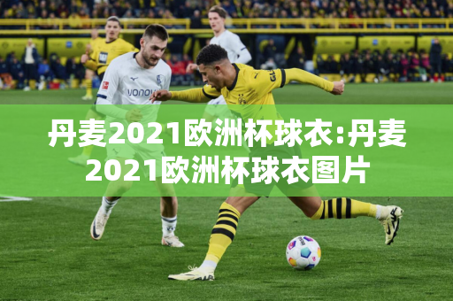 丹麦2021欧洲杯球衣:丹麦2021欧洲杯球衣图片