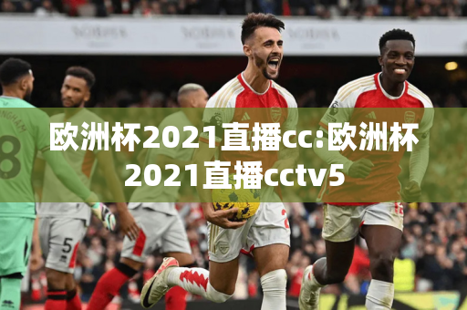 欧洲杯2021直播cc:欧洲杯2021直播cctv5