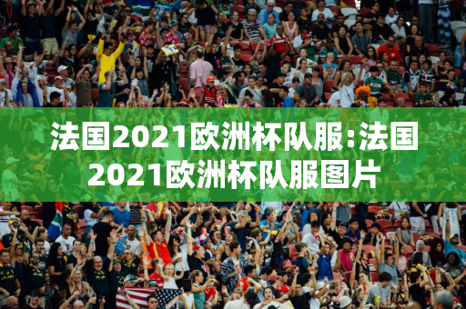 法国2021欧洲杯队服:法国2021欧洲杯队服图片