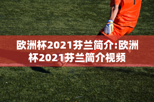 欧洲杯2021芬兰简介:欧洲杯2021芬兰简介视频