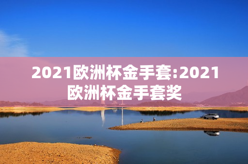 2021欧洲杯金手套:2021欧洲杯金手套奖