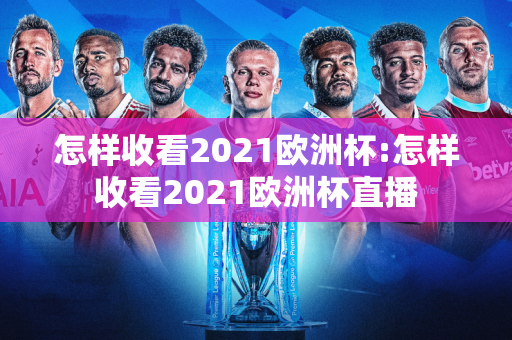 怎样收看2021欧洲杯:怎样收看2021欧洲杯直播