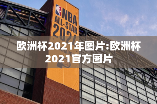 欧洲杯2021年图片:欧洲杯2021官方图片