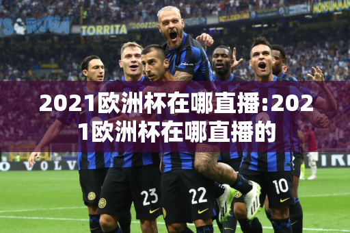 2021欧洲杯在哪直播:2021欧洲杯在哪直播的