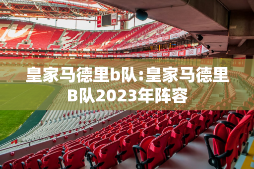 皇家马德里b队:皇家马德里B队2023年阵容