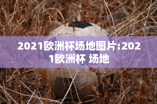 2021欧洲杯场地图片:2021欧洲杯 场地