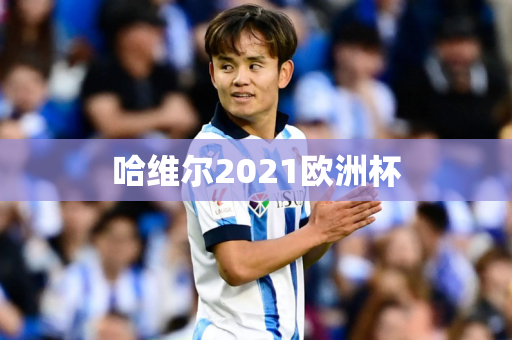 哈维尔2021欧洲杯