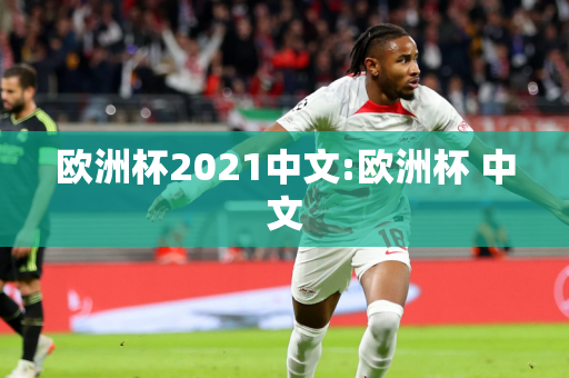 欧洲杯2021中文:欧洲杯 中文