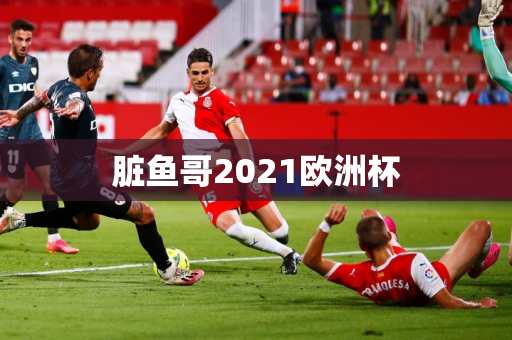 脏鱼哥2021欧洲杯