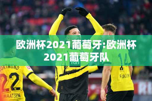 欧洲杯2021葡萄牙:欧洲杯2021葡萄牙队