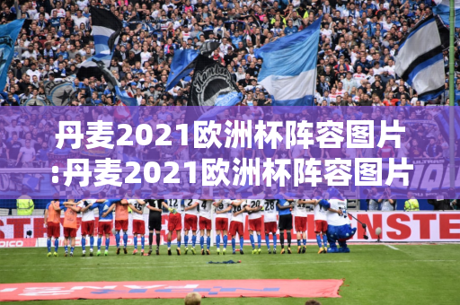 丹麦2021欧洲杯阵容图片:丹麦2021欧洲杯阵容图片大全