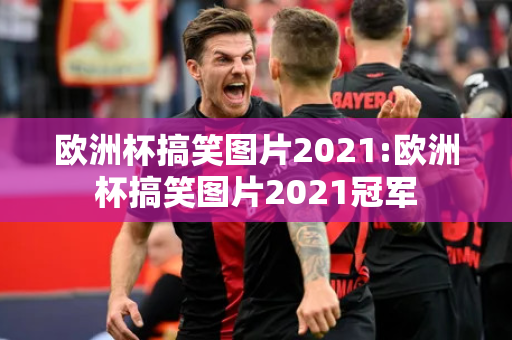 欧洲杯搞笑图片2021:欧洲杯搞笑图片2021冠军