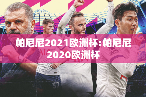 帕尼尼2021欧洲杯:帕尼尼2020欧洲杯