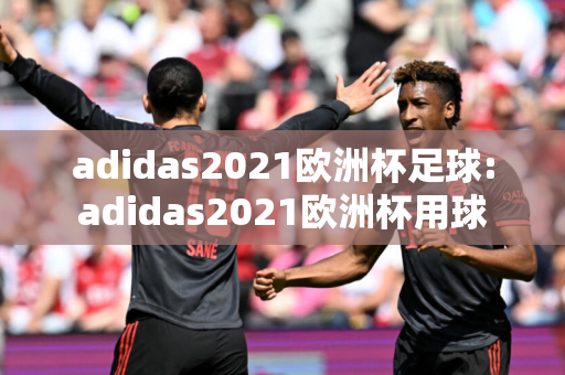 adidas2021欧洲杯足球:adidas2021欧洲杯用球