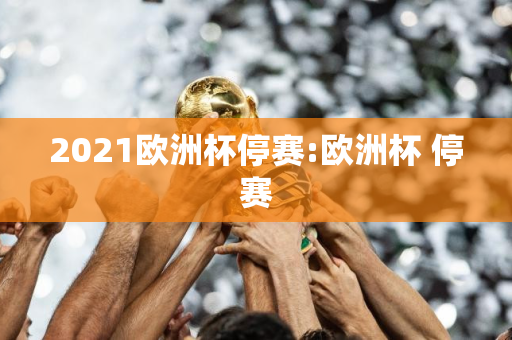 2021欧洲杯停赛:欧洲杯 停赛