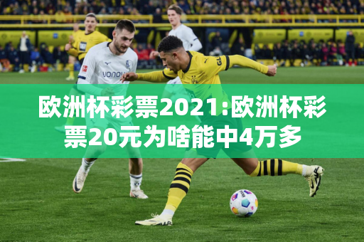 欧洲杯彩票2021:欧洲杯彩票20元为啥能中4万多