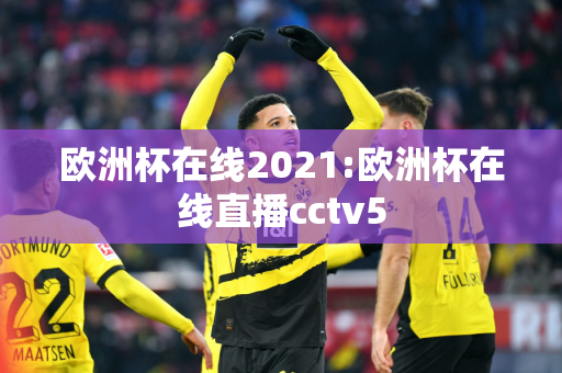 欧洲杯在线2021:欧洲杯在线直播cctv5