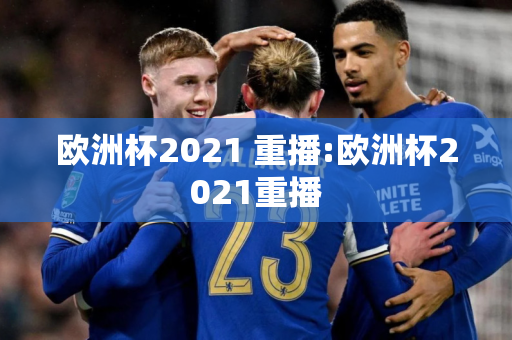 欧洲杯2021 重播:欧洲杯2021重播