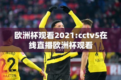 欧洲杯观看2021:cctv5在线直播欧洲杯观看