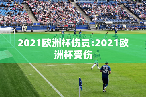 2021欧洲杯伤员:2021欧洲杯受伤