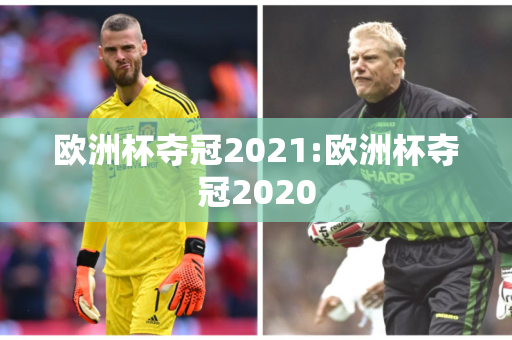 欧洲杯夺冠2021:欧洲杯夺冠2020