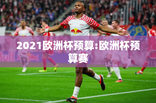 2021欧洲杯预算:欧洲杯预算赛