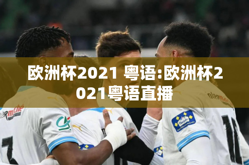 欧洲杯2021 粤语:欧洲杯2021粤语直播