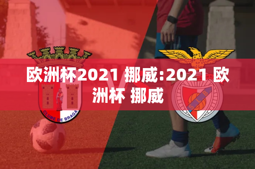 欧洲杯2021 挪威:2021 欧洲杯 挪威