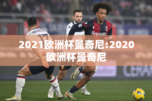 2021欧洲杯曼奇尼:2020欧洲杯曼奇尼