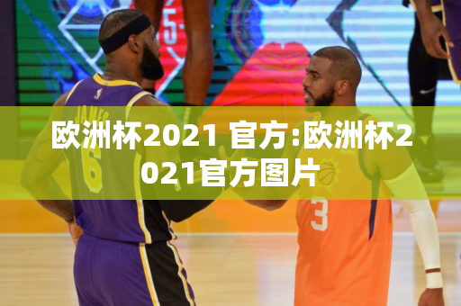 欧洲杯2021 官方:欧洲杯2021官方图片