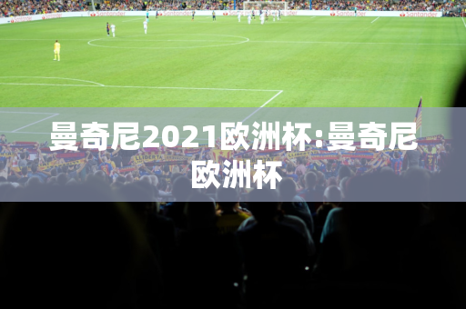 曼奇尼2021欧洲杯:曼奇尼 欧洲杯