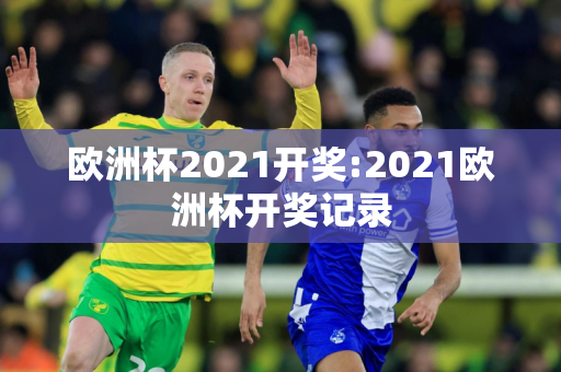 欧洲杯2021开奖:2021欧洲杯开奖记录