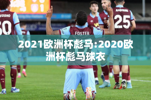 2021欧洲杯彪马:2020欧洲杯彪马球衣