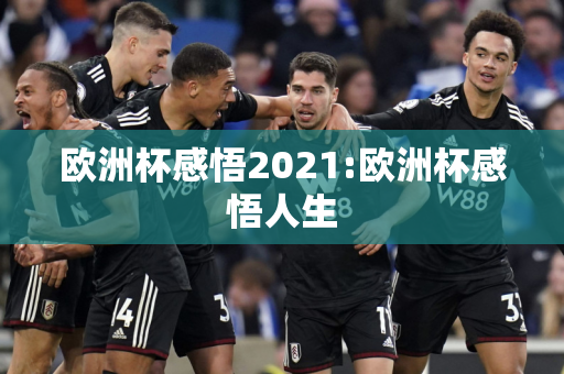 欧洲杯感悟2021:欧洲杯感悟人生