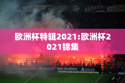 欧洲杯特辑2021:欧洲杯2021锦集