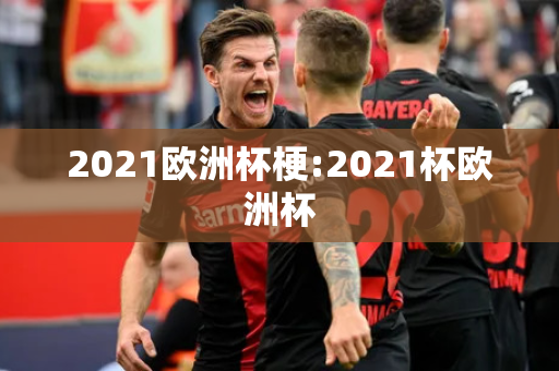 2021欧洲杯梗:2021杯欧洲杯