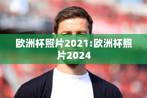 欧洲杯照片2021:欧洲杯照片2024